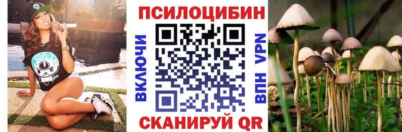 Псилоцибиновые грибы мицелий  Купить закладки  Черноголовка 